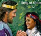 The first way we misread Song of Songs is by…