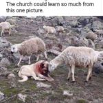 Though we are in this world we are not of…