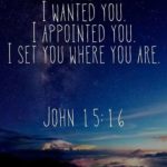 John 15 : 1 “I am the real vine, and…