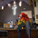 The Bible is clear, and early Christians understood it: Animals…