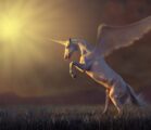 Unicorns in the Bible—Mythical, Fairy Tale Creatures? Unicorns are mentioned…
