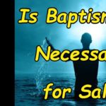 Baptismal regeneration is the belief that baptism is part of…