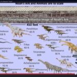 CAN YOU EXPLAIN The disappearing of…