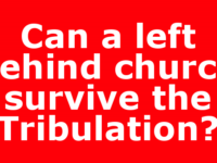 A recent post-Tribulation book by a guy who did some…