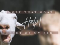 Perry Classics | Help! Get That Goat Out of My Bed!