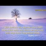 Sunday School Part 1 August 23rd