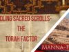 Handling Sacred Scrolls- The Torah Factor | Episode 854