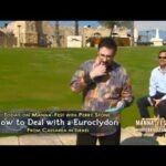 How to Deal with a Euroclydon