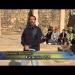 Life In the 8th Millennium – PART 1