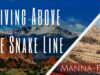 Living Above The Snake Line |Episode 848