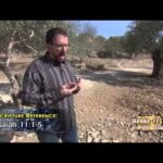 Nuggets On The 2nd Coming | Episode 723