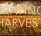 Praying to the Lord of the Harvest