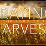 Praying to the Lord of the Harvest