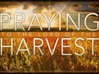 Praying to the Lord of the Harvest