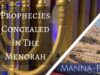 Prophecies Concealed in the Menorah | Episode 839