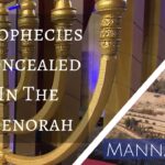 Prophecies Concealed in the Menorah | Episode 839