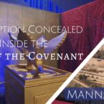 Redemption Concealed Inside the Ark of the Covenant | 835