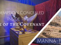 Redemption Concealed Inside the Ark of the Covenant | 835