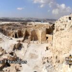 Strange Family Curses | Episode 783