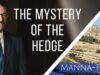 The Mystery of the Hedge | Episode 871