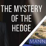 The Mystery of the Hedge | Episode 871