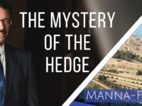 The Mystery of the Hedge | Episode 871