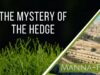 The Mystery of The Hedge | Episode 903