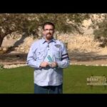 The Other Side of Jacob’s Ladder – PART 1