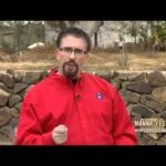 The Power of Meditating on the Lord