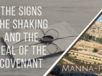 The Signs, The Shaking, and The Seal of The Covenant | Episode 896