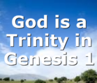 God is a Trinity in Genesis 1