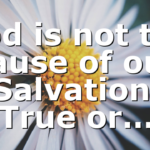 God is the cause of our Salvation