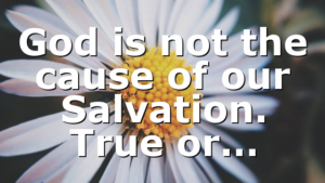 God is not the cause of our Salvation. True or…