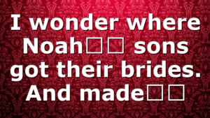 I wonder where Noah’s sons got their brides. And made…