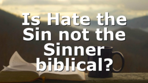 Is Hate the Sin not the Sinner biblical?