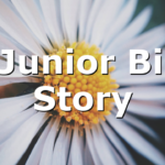 NCJunior Bible Story
