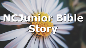 NCJunior Bible Story