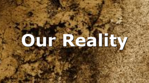 Our Reality