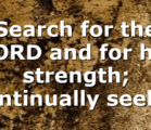 Search for the LORD and for his strength; continually seek…