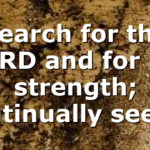 Search for the LORD and for his strength; continually seek…