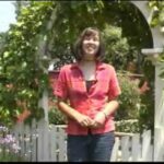 Short Term Mission Video