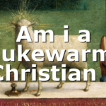 Am i a lukewarm Christian ?