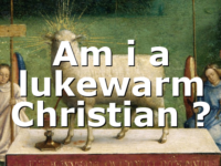 Am i a lukewarm Christian ?