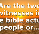 Are the two witnesses in the bible actual people or…