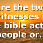 Are the two witnesses in the bible actual people or…