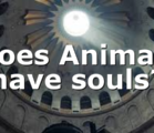 Does Animals have souls?