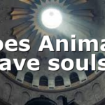 Does Animals have souls?