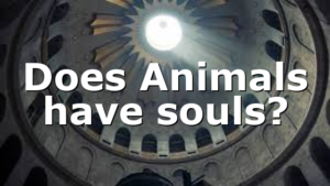 Does Animals have souls?