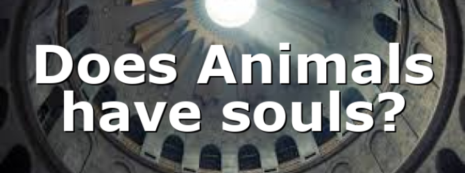 Does Animals have souls?