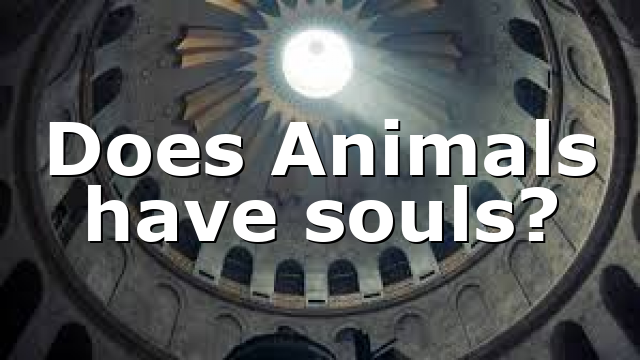 Does Animals have souls?